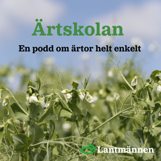 75. Lantmännens Ärtskolan - Dataväxt