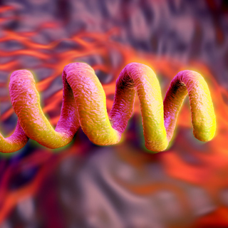 What you need to know about syphilis in 2018