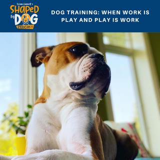 Dog Training: When Work Is Play And Play Is Work #108