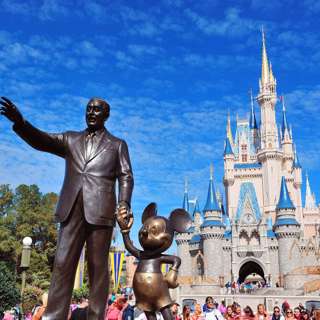 The Wild Cards are Going to Disney World