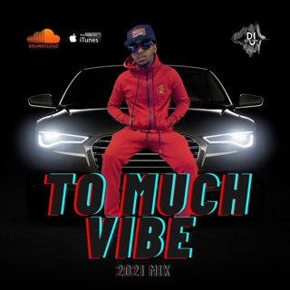 "TOO MUCH VIBE" 2021 MIX