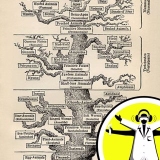 Biology's Biggest Mystery: The Origin of Life