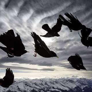 Empire of flight