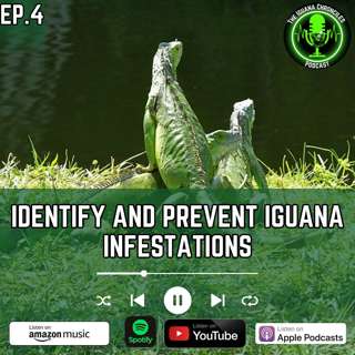 How to Identify and Prevent Iguana Infestations on Your Property