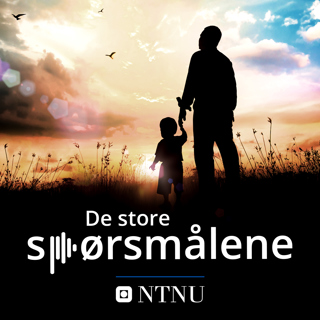 Hvordan skal vi unngå at gutter blir skoletapere? 