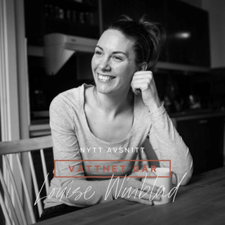 339. VG Louise "Hej hej vardag" Winblad, "Tredje ungen gillt!"