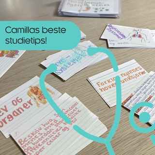 Camillas beste studietips