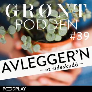 #39 Avlegger´n