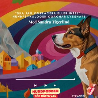 "Ska jag omplacera eller inte?" - Hundpsykologen coachar lyssnare