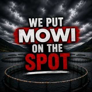 We Put Mowi on the Spot