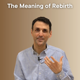 The Meaning of Rebirth