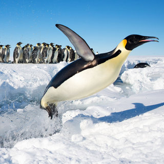 What's in Antarctica? (An ATM, for One Thing!)