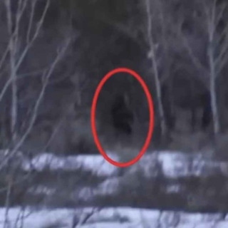 I HUNT Cryptids For a Living