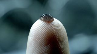 ALIEN and the Black Goo : A Roundtable