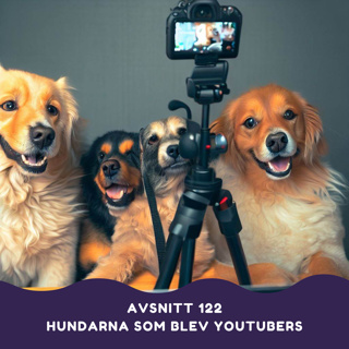 Hundarna som blev Youtubers