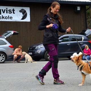 Episode 3 - "Glade mennesker og glade hunder"