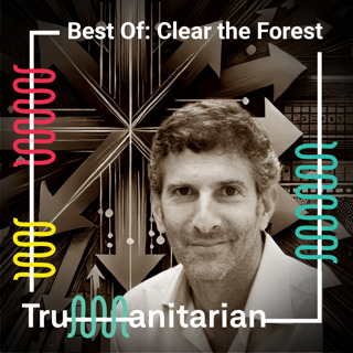 Best of: Clear the Forest