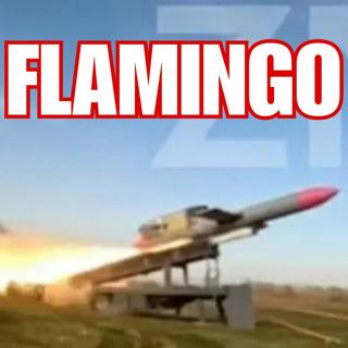Ukraine's Massive New Missile the "Flamingo"