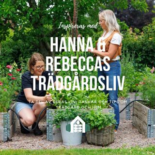 Poddavsnitt 113 - Sommarreflektion