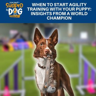 When To Start Agility Training With Your Puppy: Insights From A World Champion #277