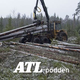 Skogsskötsel och japanska köttdjur