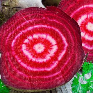 Feel the Beet: The Most Fascinating Woman You've Never Heard Of