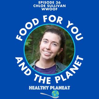 Episode 36: WWOOF Chloe Sullivan - What Is WWOOF World Wide Opportunities On Organic Farms?
