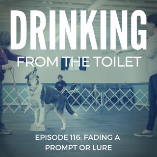 #116: Fading a prompt or lure