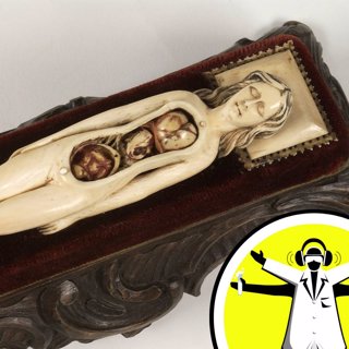 What's between my internal organs?