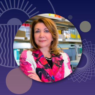 #13 - Deborah Mash: The Lioness of Ibogaine Research