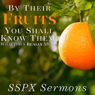By Their Fruits You Shall Know Them: What Jesus Really Means – SSPX Sermons