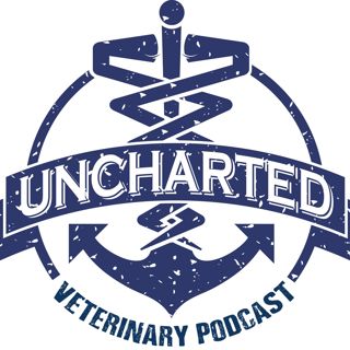 UVP 004: How To Coach Your Veterinary Team