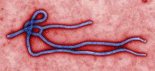 Podcast 511: Ebola Treatment