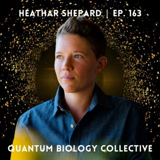 163: Sunlight, Homeopathy, and Regenerative Farming: A Systems Approach to Healing with Heathar Shepard