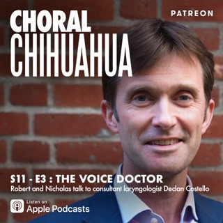 The Voice Doctor