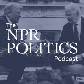 Trump's Transition Trouble