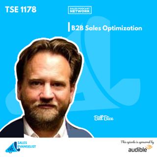 TSE 1178: B2B Sales Optimization