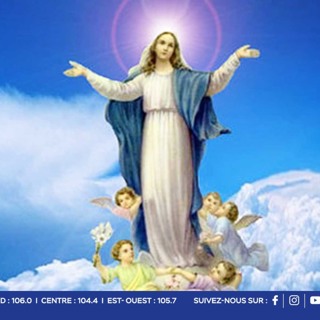 Dévotion à la Sainte Vierge Marie : « Mo ena enn tifi kot mwa, nou pa kapav rat nou gâteau Marie », confie Lolita