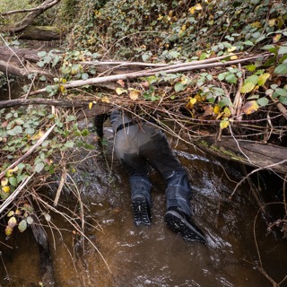 The Secret Spot - Unlocking Hidden Fishing Gems with Mick Hurren