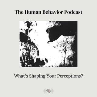 What's Shaping Your Perceptions?