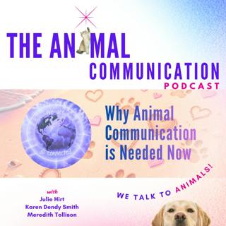 Why Animal Communication Is Needed Now