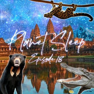 19: Cozy Night In Cambodia