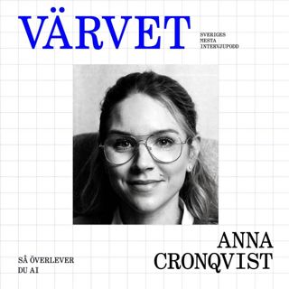 AI: Så använder du det utan att bli ersatt – Anna Cronqvist