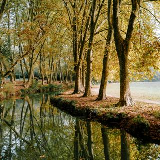 #15 — Questions Along the Path