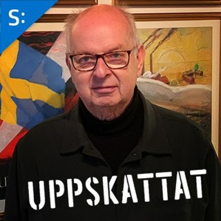 Mats Svegfors om Skattenytta med medborgarrevision