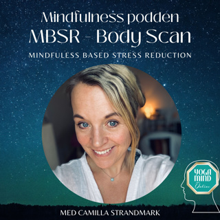 Body Scan (40 min) – Part of the MBSR Program
