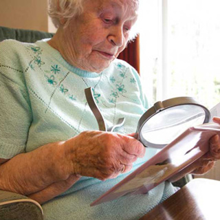 Outcomes of the Veterans Affairs Low Vision Intervention Trial II