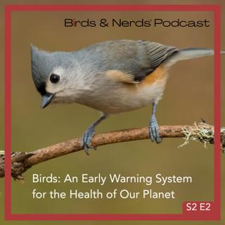 What Declining Bird Populations Tell Us About The Future of Our Planet | National Audubon Society | Birds & Nerds