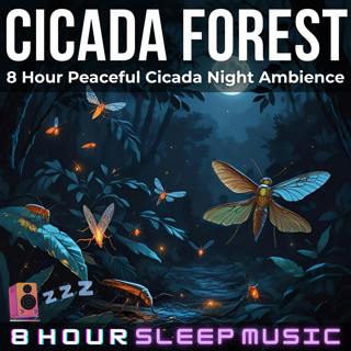 🦗 Cicada Forest | 8 Hour Peaceful Cicada Night Ambience w/ Light Forest Wind (No Music) | Nature Sounds for Deep Sleep 😴