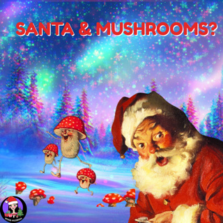 Is Santa a Mushroom? The Strange Secret Behind Flying Reindeer